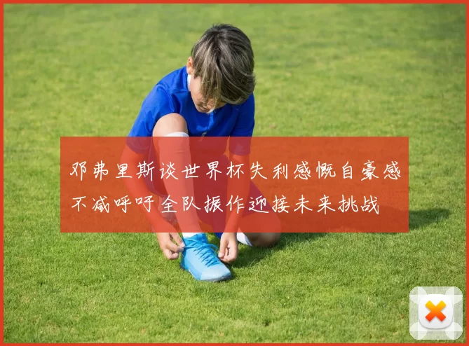邓弗里斯谈世界杯失利感慨自豪感不减呼吁全队振作迎接未来挑战