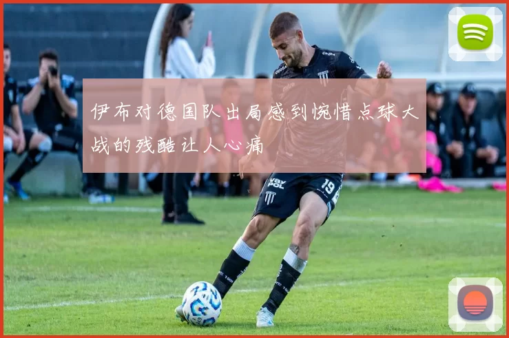 伊布对德国队出局感到惋惜点球大战的残酷让人心痛